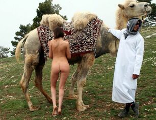 Tiny lady posing near camel being